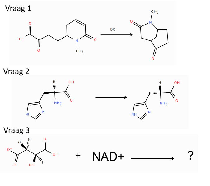 Bestand:Examenvragen 11 juni 2025 chemie van natuurproducten met dank aan Joere Frederickx en Tiago Habets.png